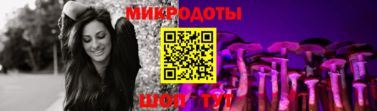 Галлюциногенные грибы Cubensis  Вход с VPN  Ефремов 